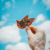 Flyaway Bird Patch